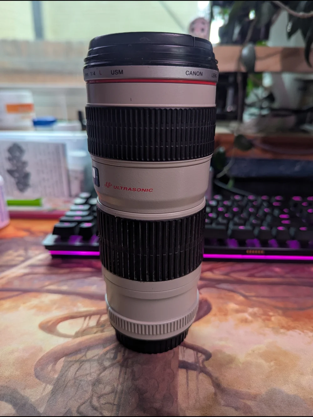 Canon 70-200mm Telephoto Zoom Lens — JAPANESE GLASS